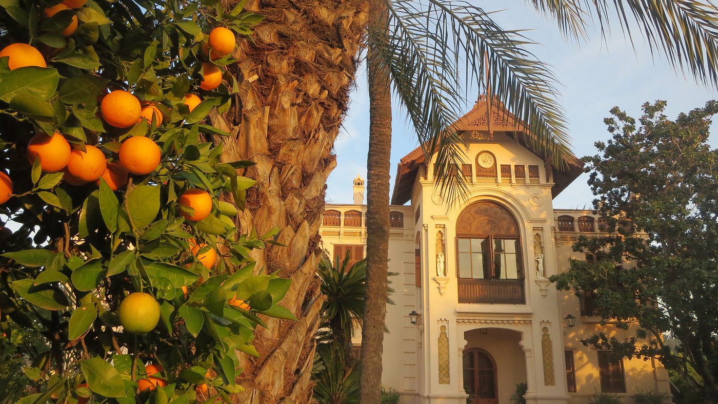 atardecer-huerto-san