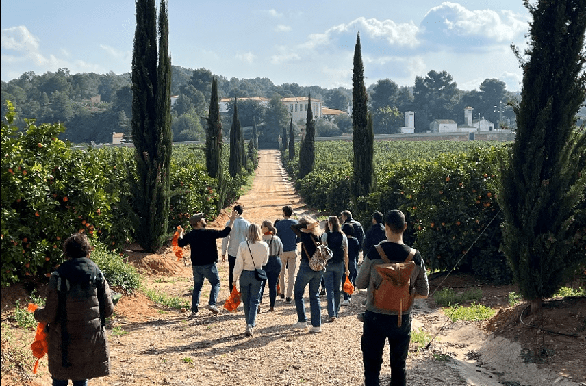 Huerto Ribera, Valencia